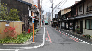 写真14 隣接境界の緑化が見事